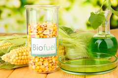 Charles Bottom biofuel availability